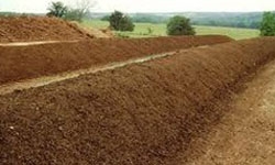 Cow Dung Compost